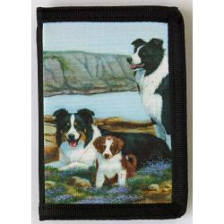 Border Collie 5 trifold wallet